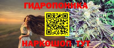 прущие крисы Ставрополь