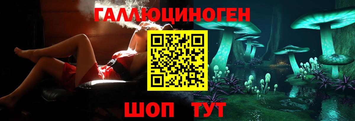 Можга  Псилоцибиновые грибы мицелий  Вход с VPN 
